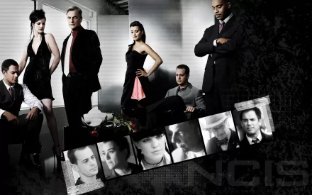 Sean Murray Anthony Dinozzo Michael Weatherly Ziva David Cote De Pablo Leroy Jethro Gibbs Mark Harmon Abby Sciuto Pauley Perrette TV Show NCIS HD Desktop Wallpaper | Background Image