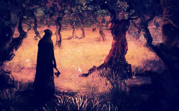 Dark Forest Fantasy HD Wallpaper | Background Image
