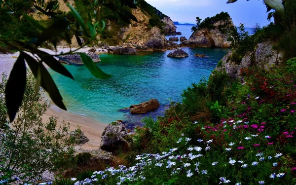 A serene coastal scene featuring lush greenery and vibrant flowers, with tranquil turquoise waters and rocky formations creating a stunning nature wallpaper backdrop.