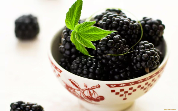 food blackberry HD Desktop Wallpaper | Background Image