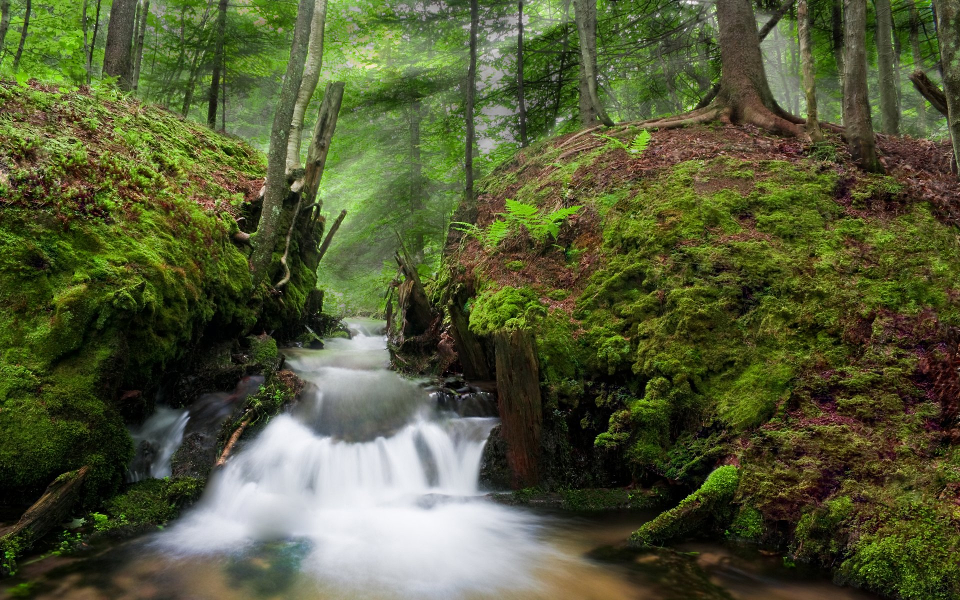 Download Nature Stream HD Wallpaper