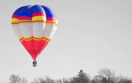 vehicle hot air balloon HD Desktop Wallpaper | Background Image