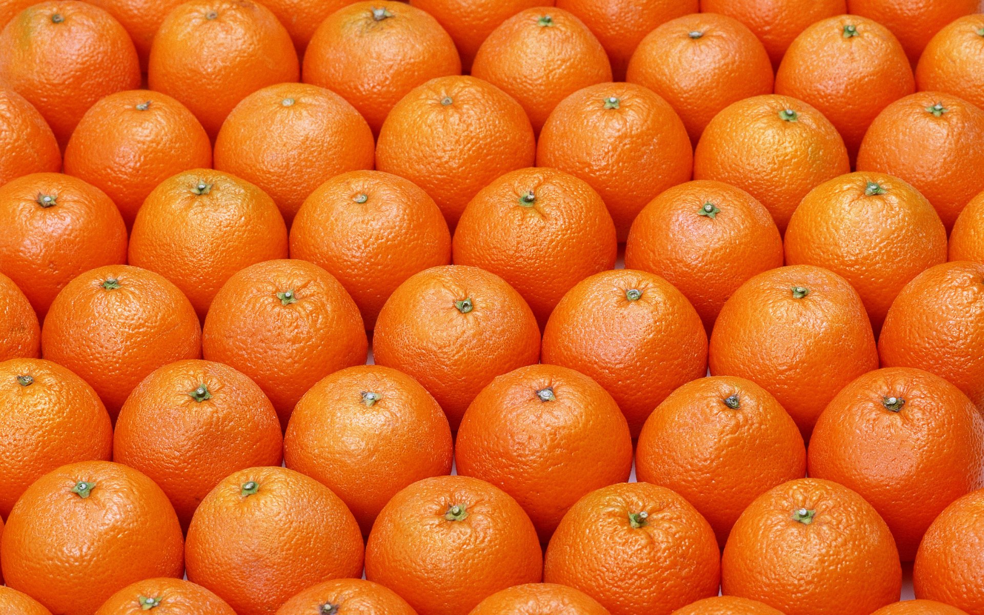 Food Orange HD Wallpaper