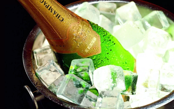 food champagne HD Desktop Wallpaper | Background Image