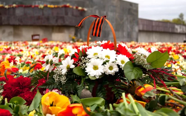 A vibrant floral tribute with a Saint George ribbon, honoring World War II Victory Day (9 May), captured in a high-definition desktop wallpaper background.