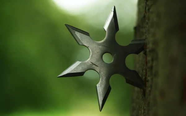 HD desktop wallpaper of a man-made shuriken embedded in a tree with a blurred green natural background.