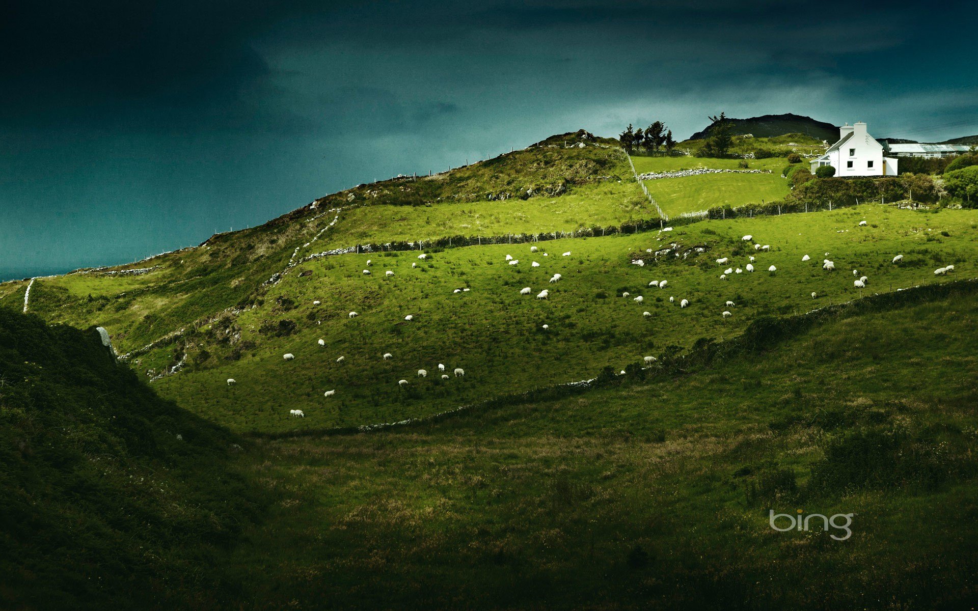 Featured image of post Irish Wallpaper For Walls - We&#039;ve gathered more than 5 million images uploaded by our users and sorted them by the most popular ones.