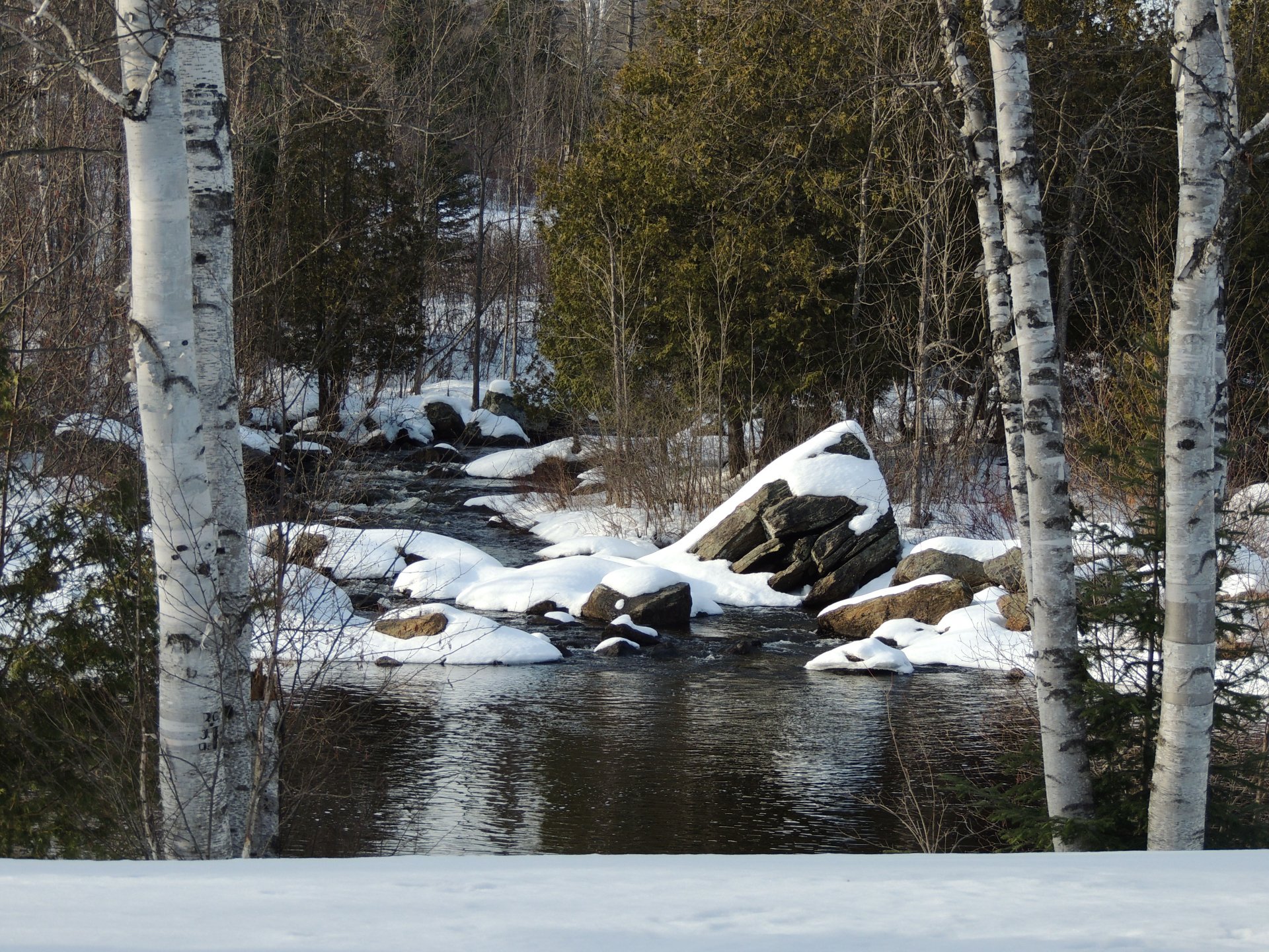 A serene winter scene featuring a gently flowing river surrounded by snow-covered rocks and birch trees, captured in stunning 4K Ultra HD for a nature-inspired desktop wallpaper.