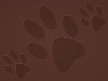  paw prints