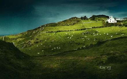  Sheep's Head Ireland
