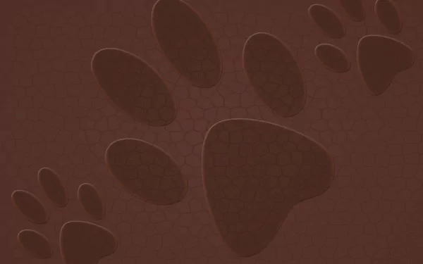  paw prints