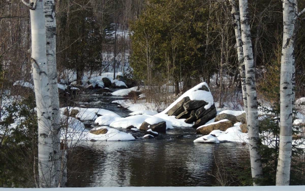 A serene winter scene featuring a gently flowing river surrounded by snow-covered rocks and birch trees, captured in stunning 4K Ultra HD for a nature-inspired desktop wallpaper.