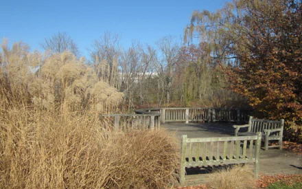 HD desktop wallpaper showing a serene park scene with man-made wooden benches surrounded by dry grasses and trees under a clear blue sky.