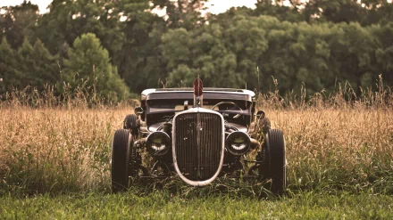 A classic rat rod parked in a field, surrounded by tall grass and trees, captured as a striking HD desktop wallpaper.