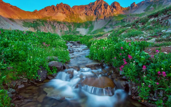 HD nature desktop wallpaper capturing a clear mountain stream flowing through lush greenery and vibrant wildflowers beneath rugged peaks under a bright blue sky.
