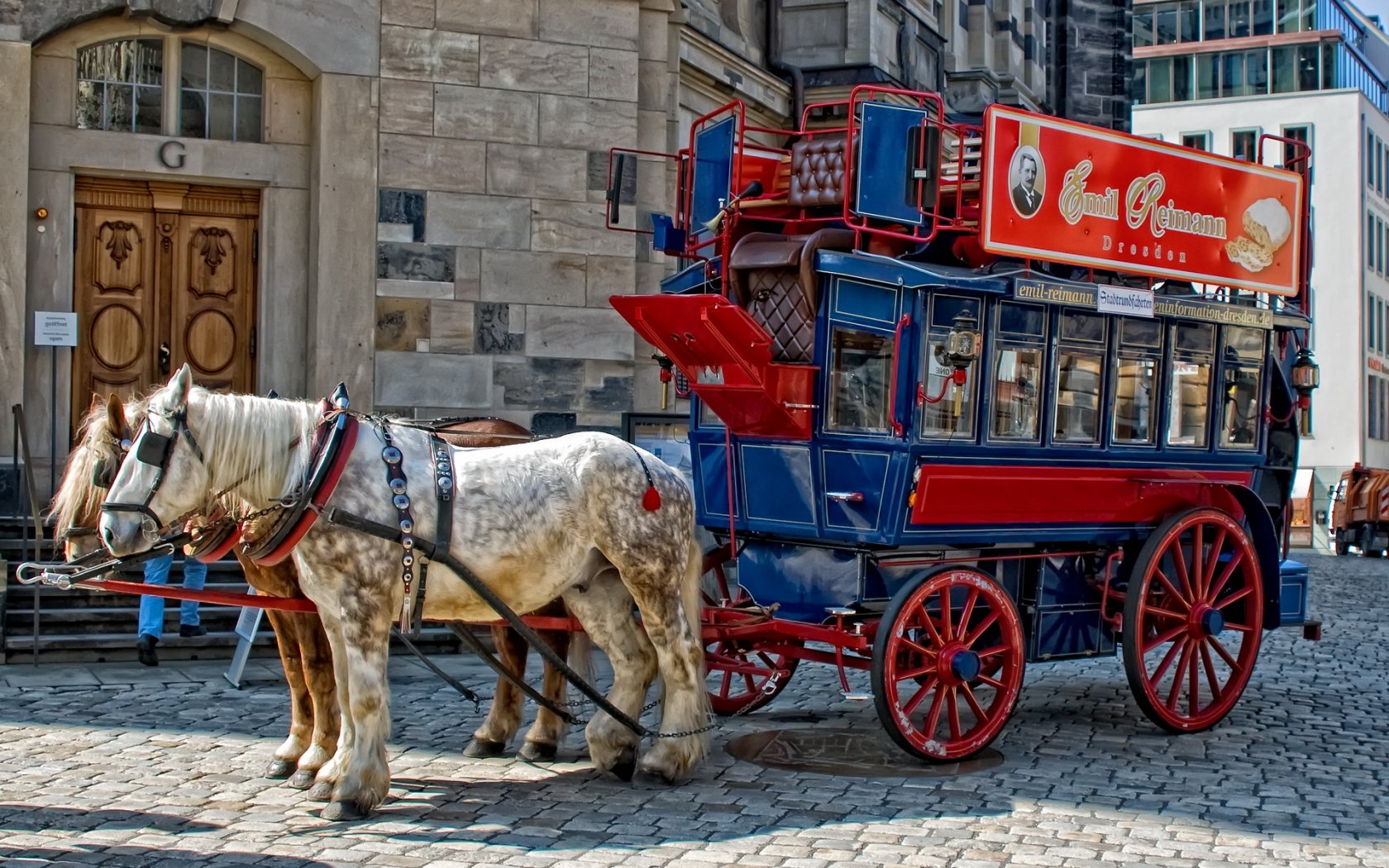 Vehicles Horse Drawn Vehicle HD Wallpaper | Background Image