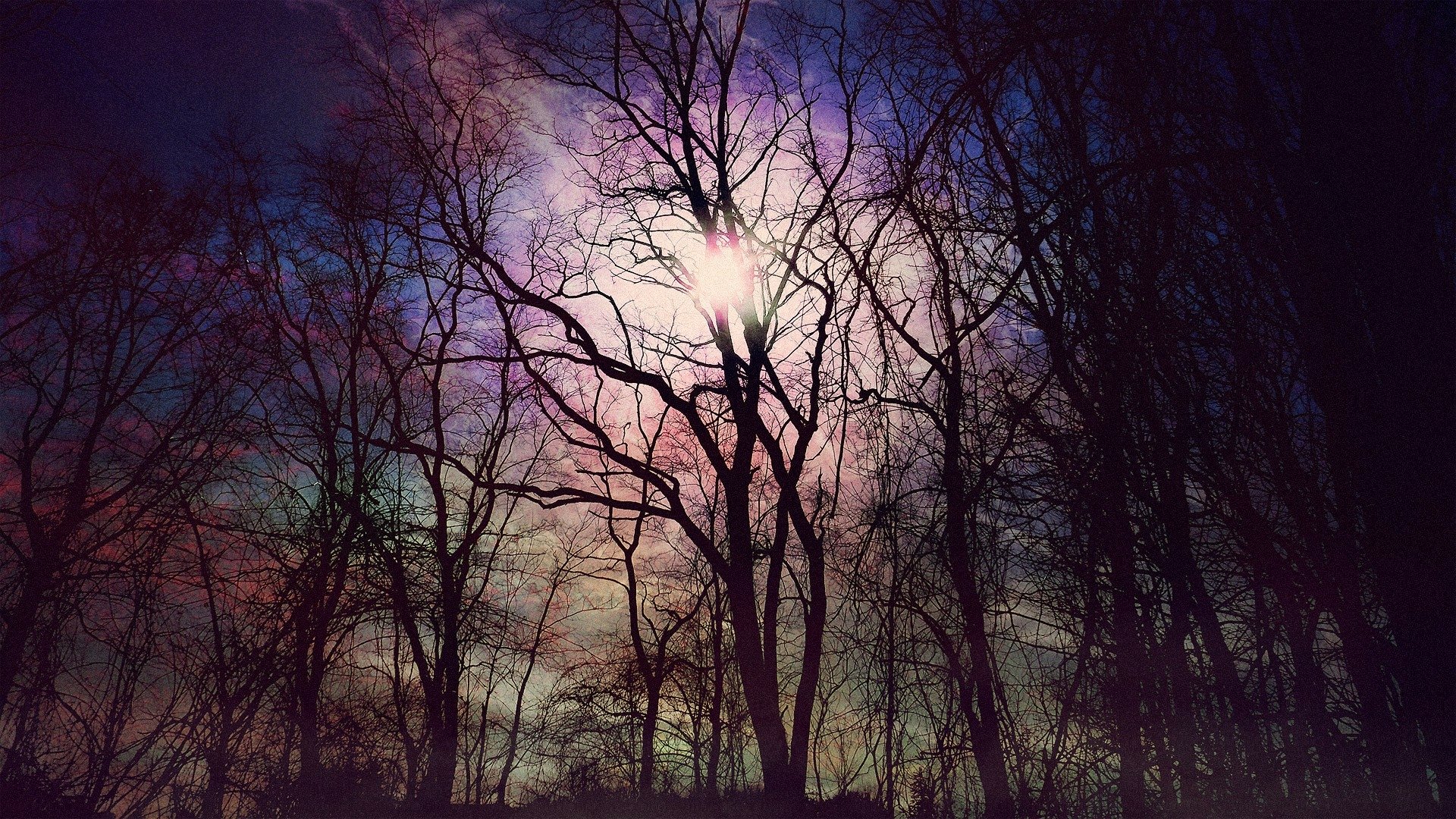 HD wallpaper featuring a forest at dusk with trees silhouetted against a vibrant, multicolored sky.