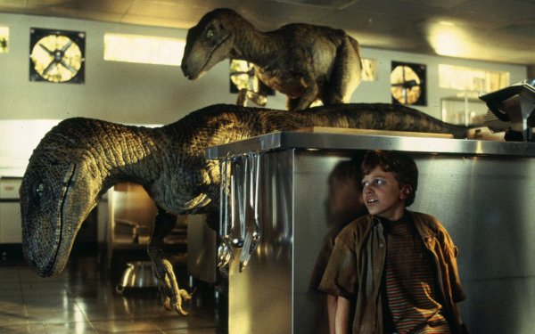 Movie Jurassic Park Velociraptor Tim Murphy Kitchen HD Wallpaper | Background Image