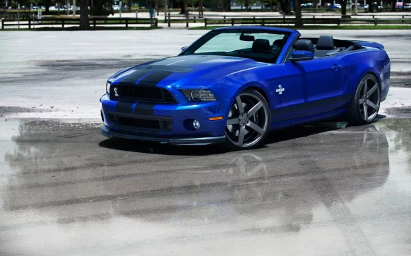 Blue Ford Mustang Shelby Cobra GT 500 convertible parked on wet pavement, captured in HD for a dynamic PC desktop wallpaper and background.