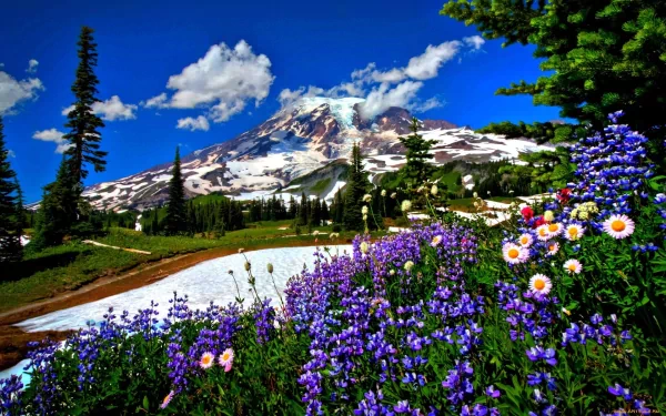 HD desktop wallpaper featuring a vibrant mountain scene with snow-capped peaks, lush greenery, and colorful wildflowers under a clear blue sky.
