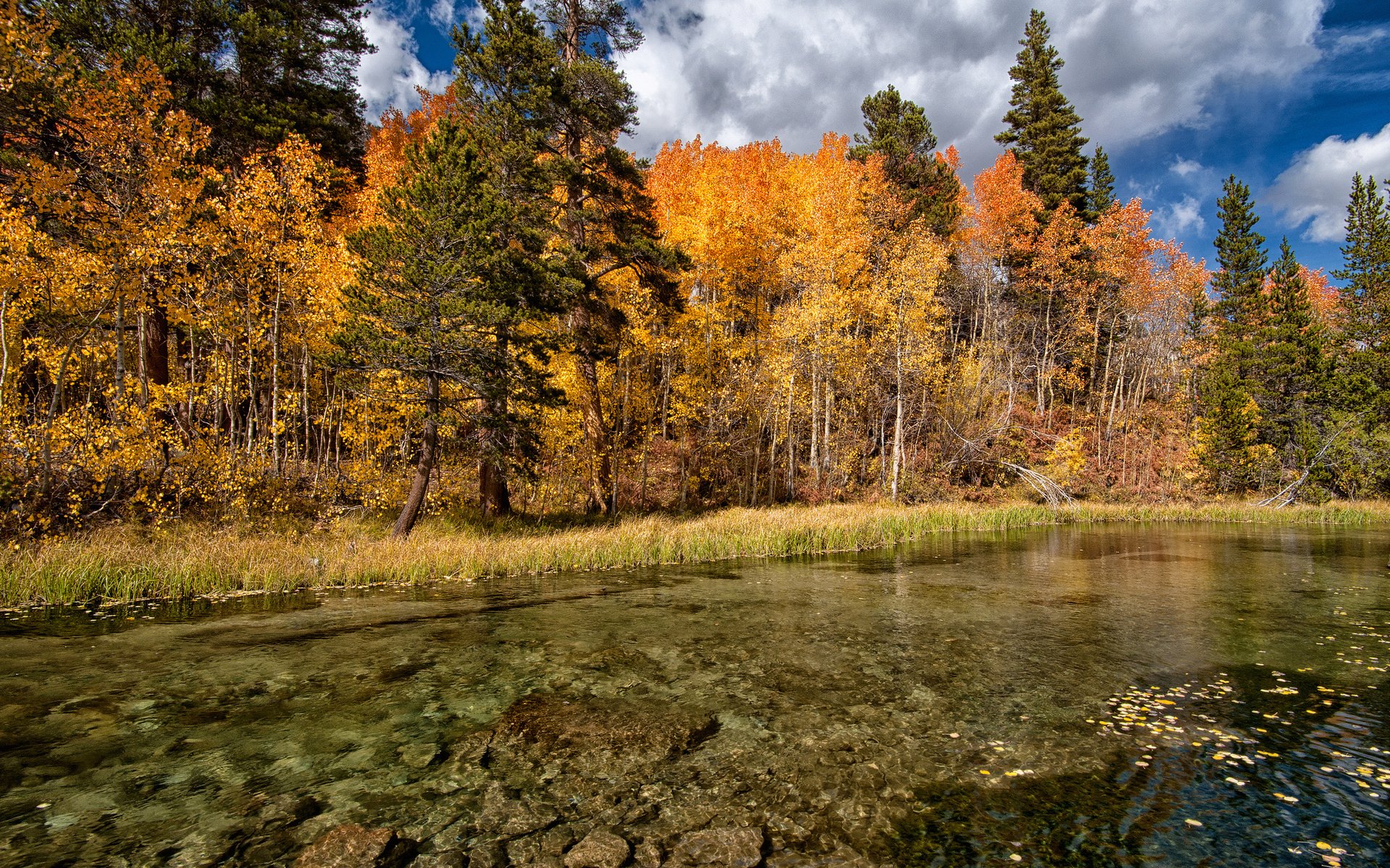 Download Nature Fall HD Wallpaper