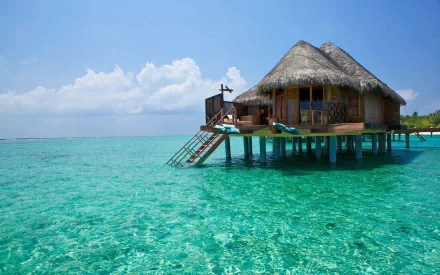 photography tropical HD Desktop Wallpaper | Background Image