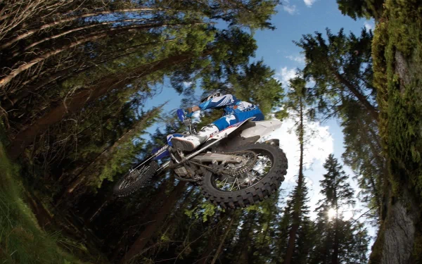 A motocross rider soars through the air amidst tall trees, capturing the thrill of the sport. This stunning HD desktop wallpaper showcases the excitement of outdoor adventures.