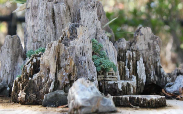 HD desktop wallpaper featuring a miniature building amidst rugged, rocky terrain with delicate greenery.