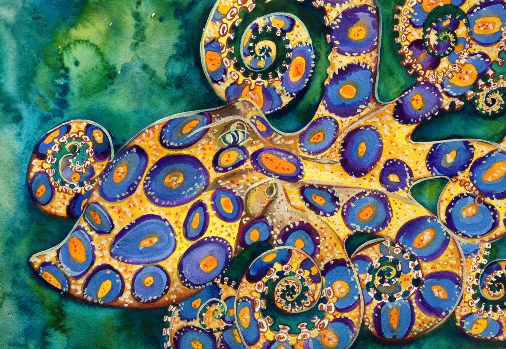 Download Octopus Animal Blue Ringed Octopus Wallpaper