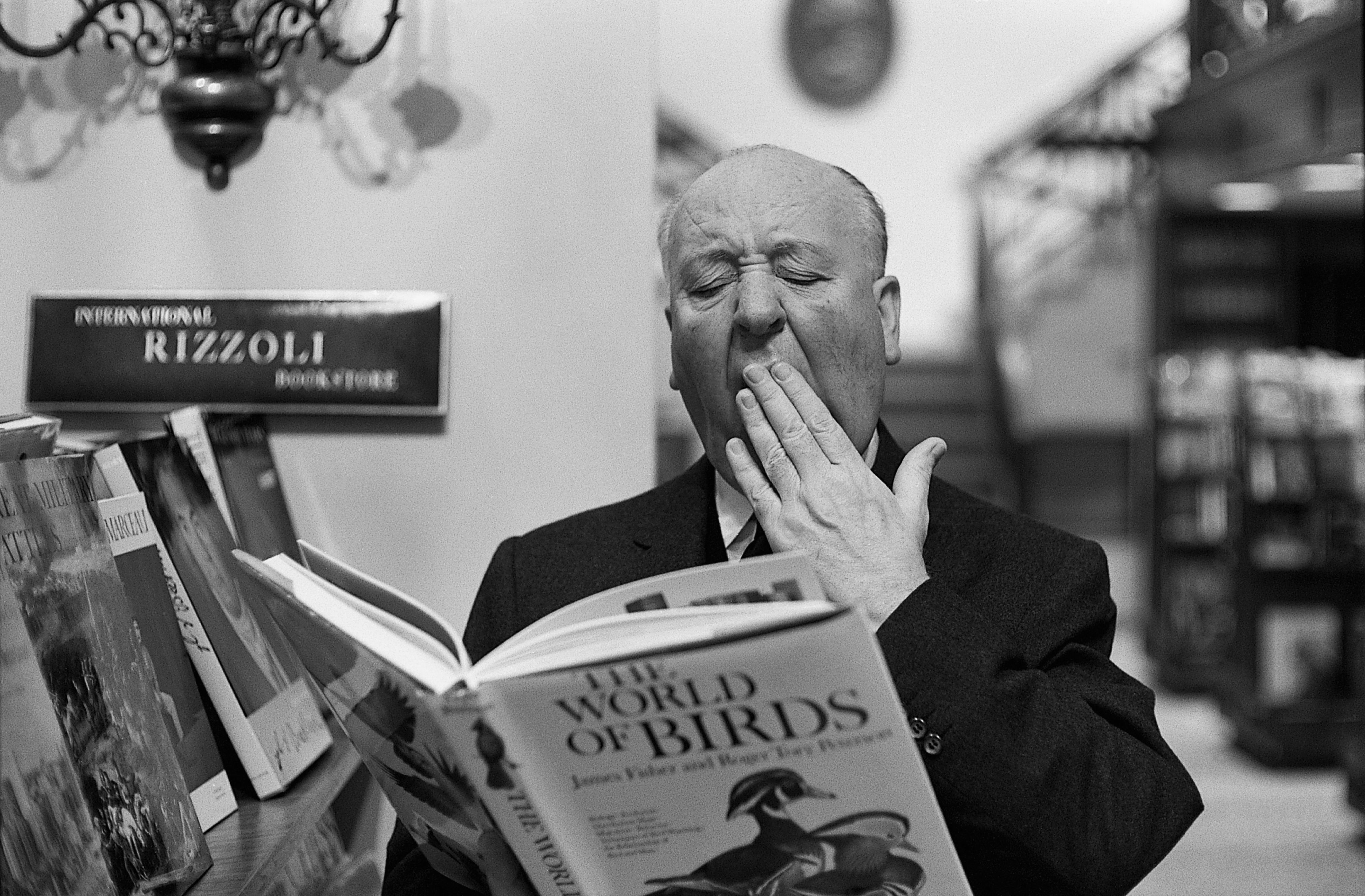 Celebrity Alfred Hitchcock HD Wallpaper | Background Image
