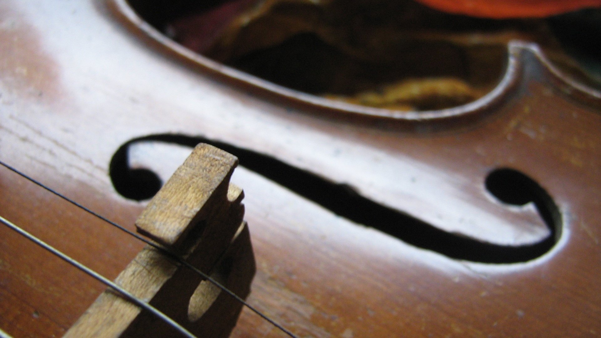 HD PC desktop wallpaper: close-up of a wooden violin’s bridge, strings and f-hole in warm, detailed light, evoking music.