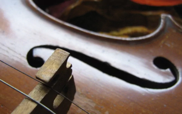 HD PC desktop wallpaper: close-up of a wooden violin’s bridge, strings and f-hole in warm, detailed light, evoking music.