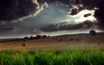 A serene landscape featuring a grassy field under dramatic clouds, with haystacks scattered across the horizon. A captivating nature scene for HD desktop wallpapers.