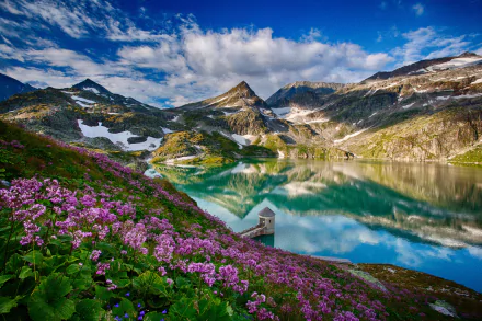A serene mountain landscape featuring a crystal-clear lake reflecting the sky, surrounded by vibrant flowers and lush vegetation, creating a stunning nature scene.