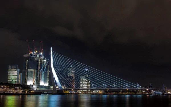 man made erasmus bridge HD Desktop Wallpaper | Background Image