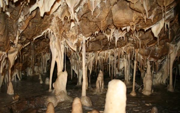 cave nature jenolan caves HD Desktop Wallpaper | Background Image