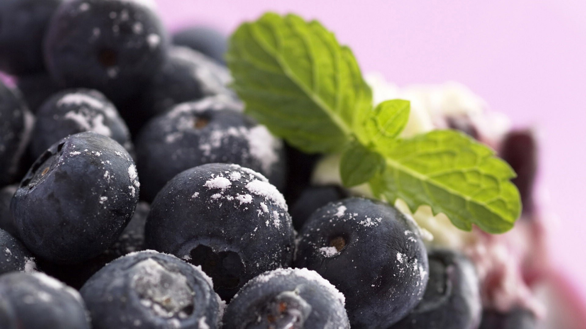 Blueberry HD Wallpaper | Background Image | 1920x1080 | ID:431739