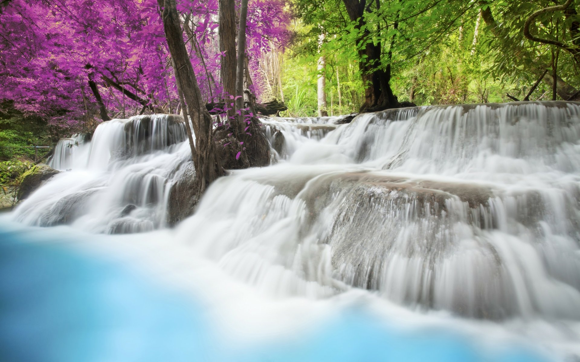 A serene waterfall cascades over rocks, surrounded by lush greenery and vibrant pink flowers, creating a tranquil nature scene for a captivating HD desktop wallpaper.