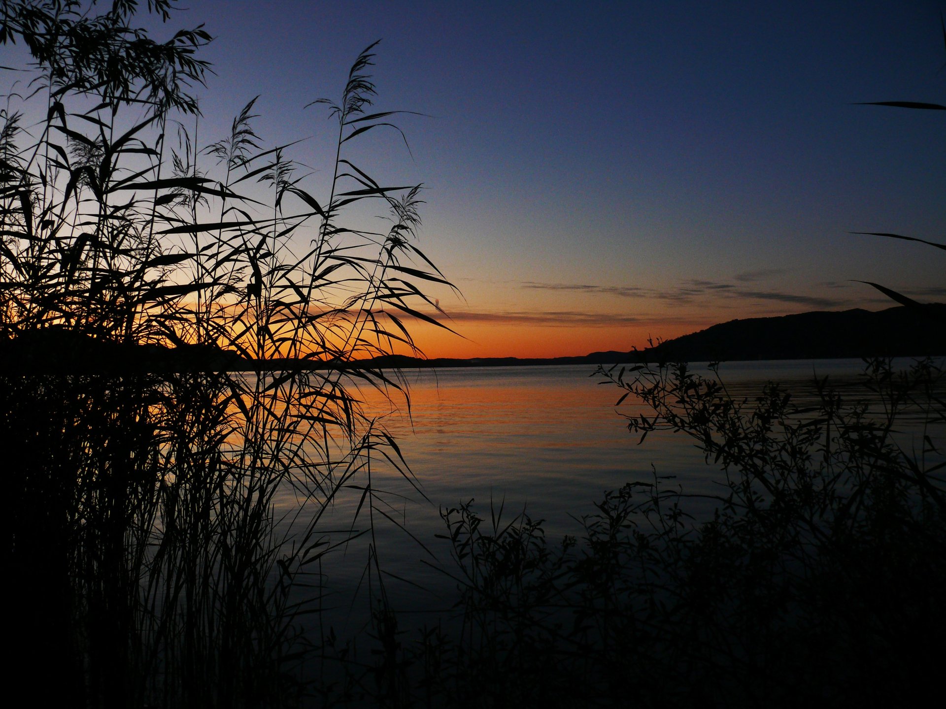 HD PC desktop wallpaper capturing a serene lake at sunset, framed by silhouetted reeds and distant hills under a clear twilight sky.