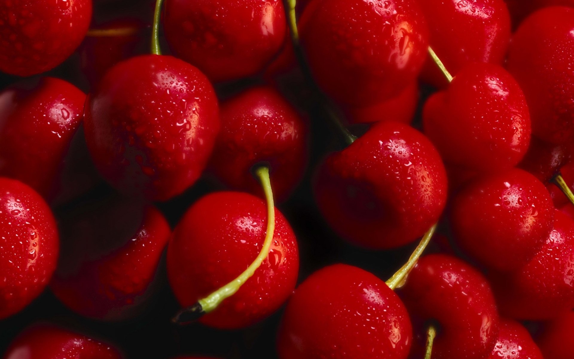 Cherry Full HD Wallpaper and Background Image | 2560x1600 | ID:431724