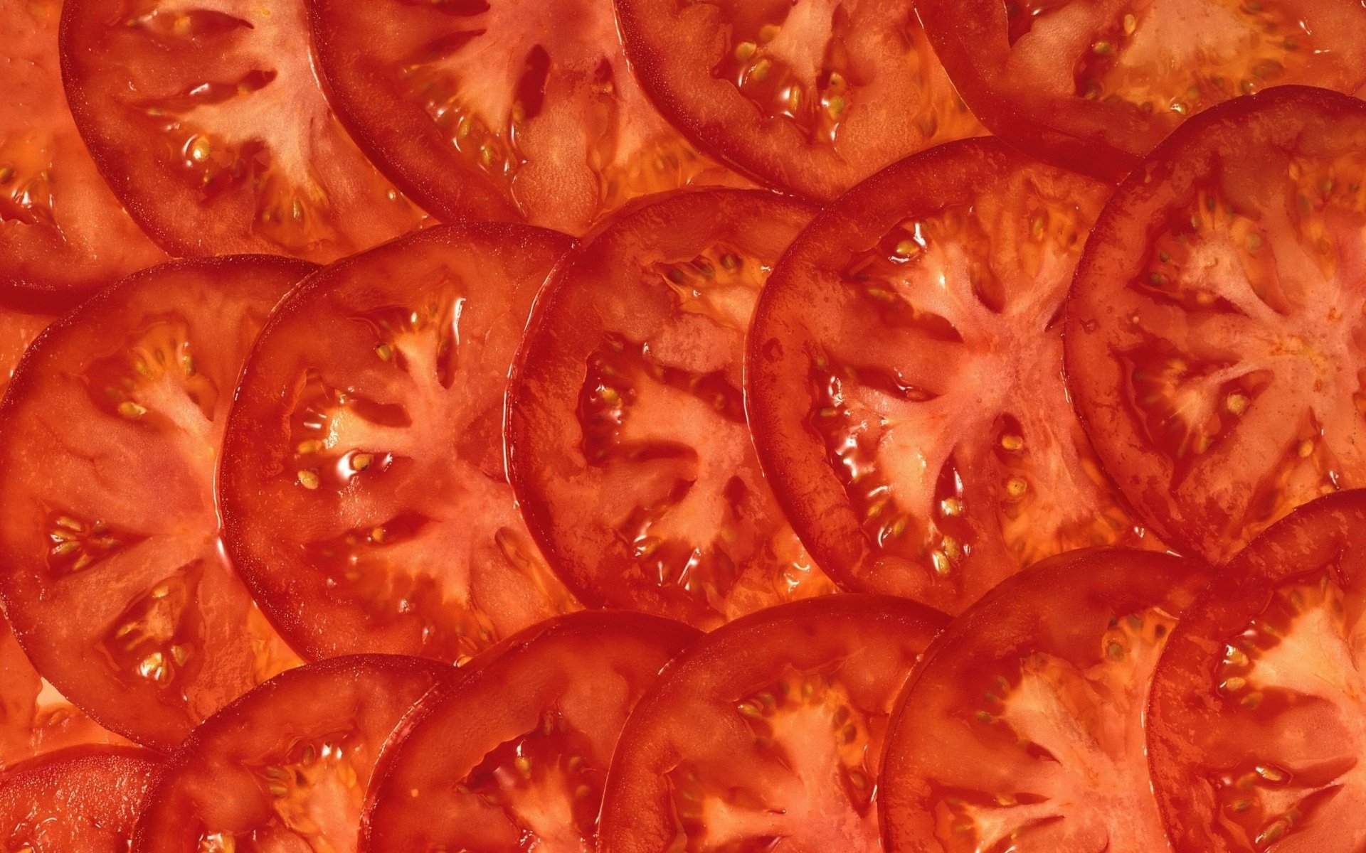 Tomato HD Wallpaper
