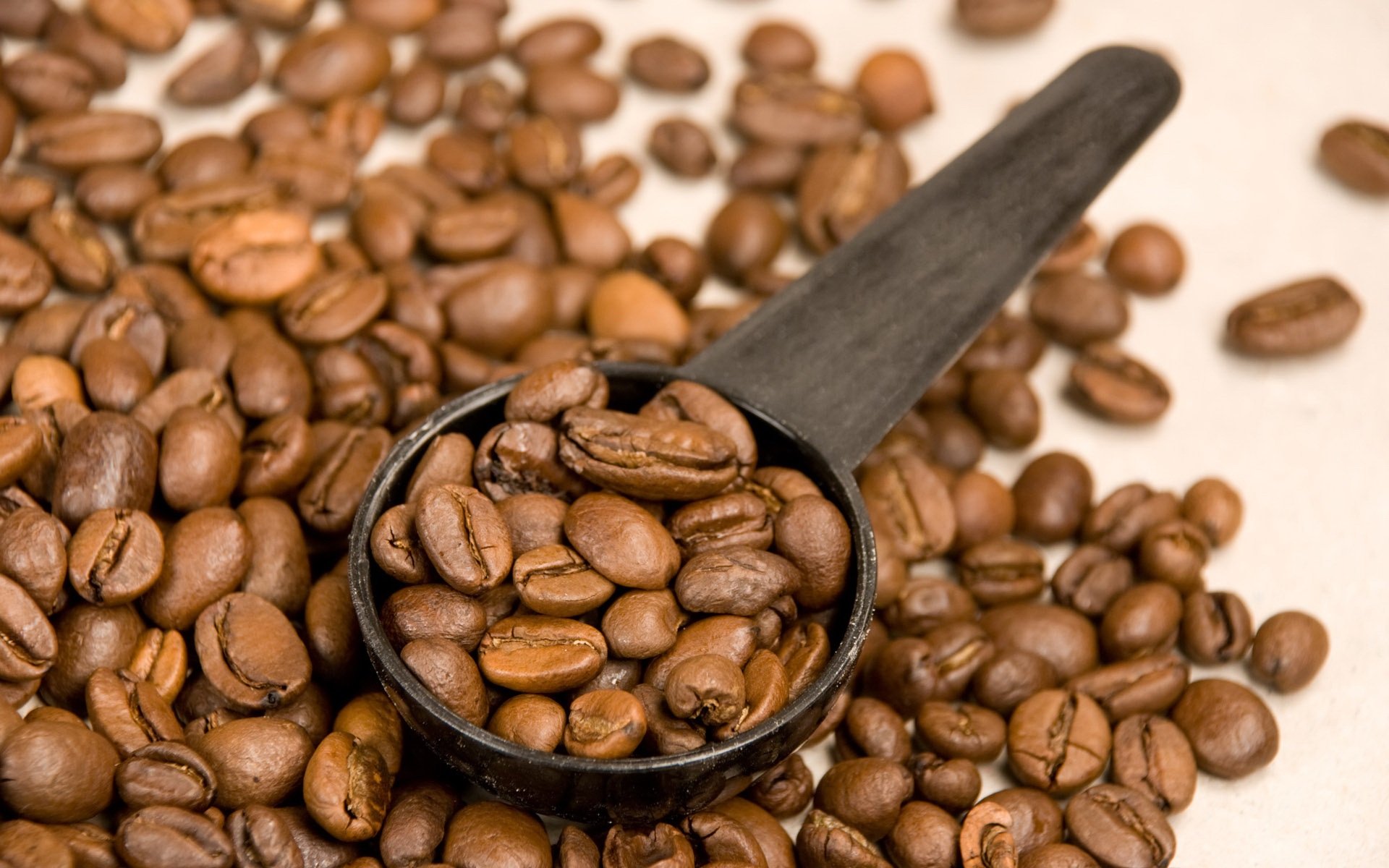 Close-up of roasted coffee beans with a black scoop, rendered as an HD PC desktop wallpaper and background.