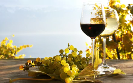HD desktop wallpaper featuring a scenic outdoor view with a glass of red wine, a glass of white wine, and green grapes on a wooden surface.