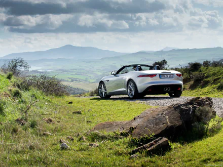 vehicle Jaguar F-Type HD Desktop Wallpaper | Background Image