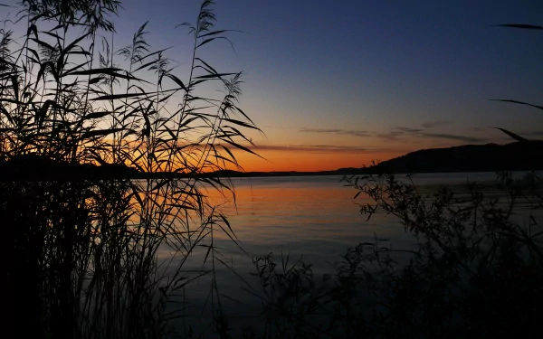 HD PC desktop wallpaper capturing a serene lake at sunset, framed by silhouetted reeds and distant hills under a clear twilight sky.