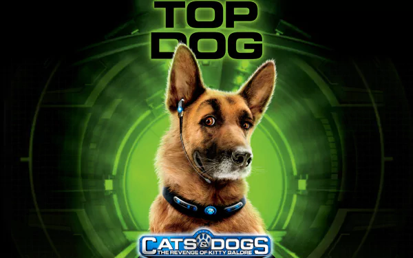 movie Cats & Dogs: The Revenge Of Kitty Galore HD Desktop Wallpaper | Background Image