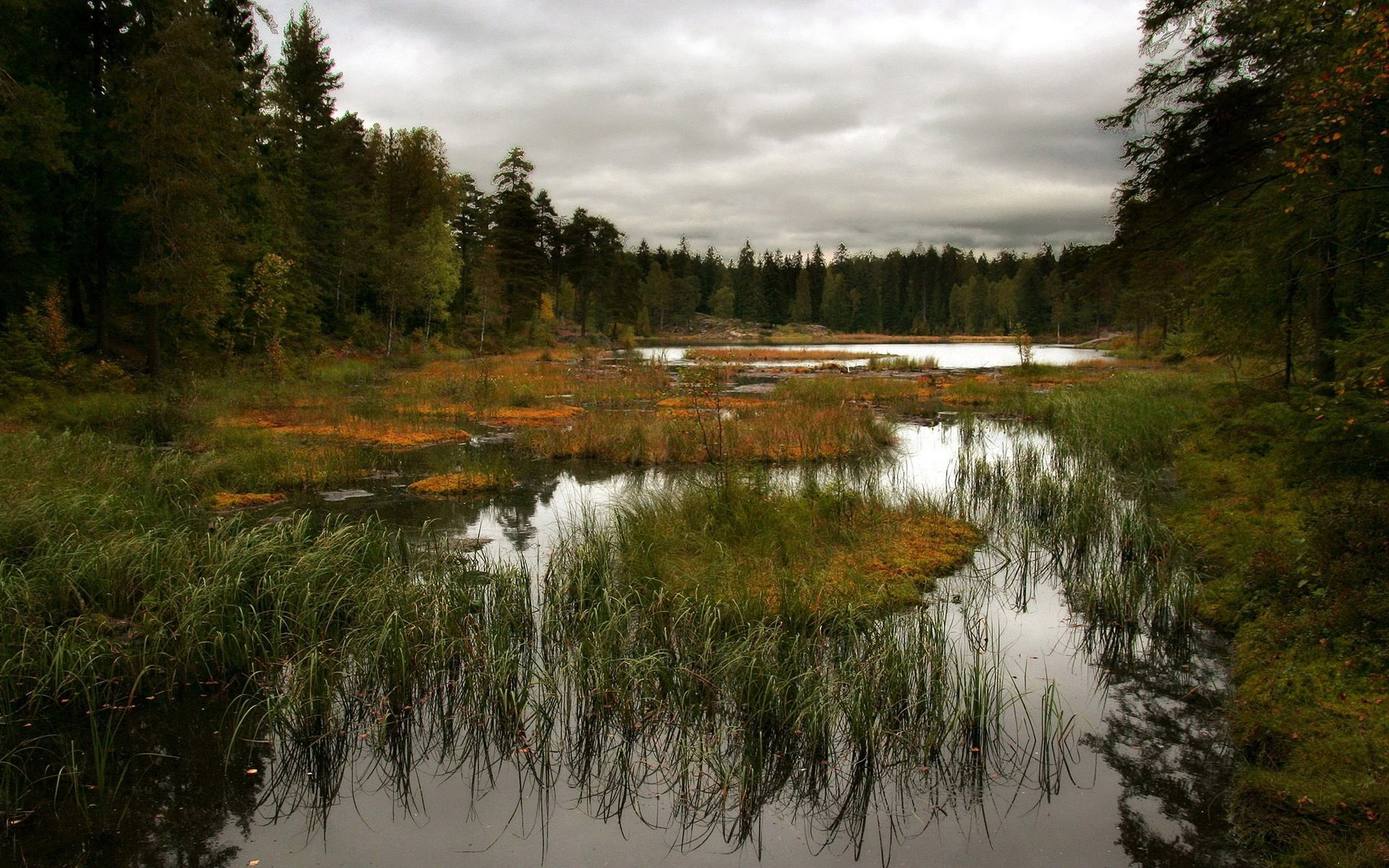 Autumn Marsh Reflections — HD Lake Wallpaper | 1920x1200 | Wallpaper Abyss