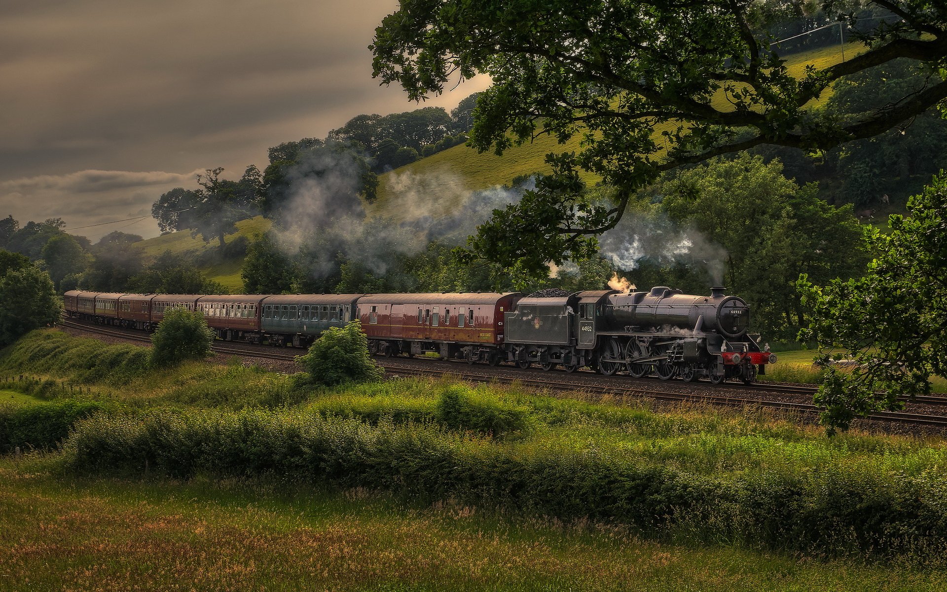 HD desktop wallpaper features a scenic train journey through lush, green countryside, with a steam engine billowing smoke under a cloudy sky, framed by an overhanging tree.