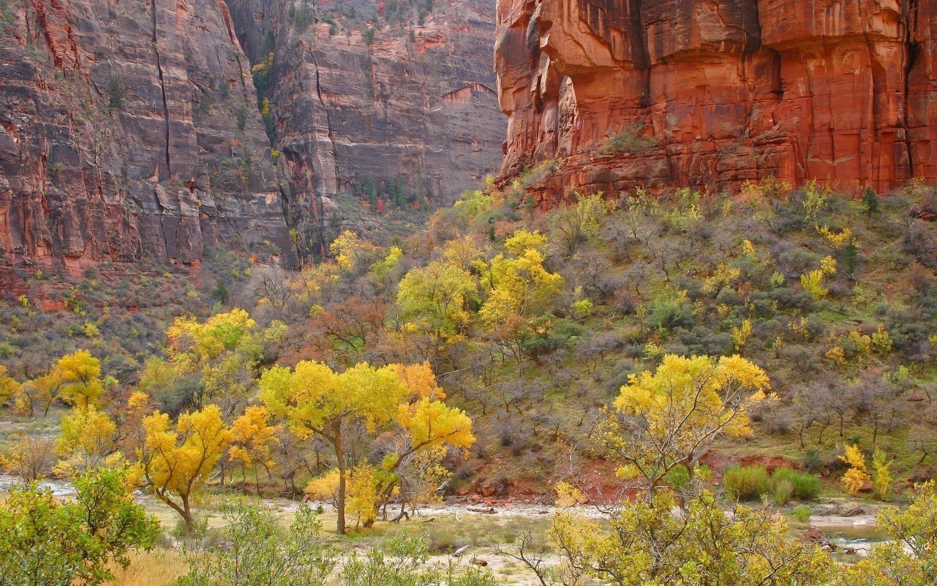 Nature desert HD PC desktop wallpaper: red sandstone canyon with yellow-leaved trees along a dry riverbed, vivid colors and a wide vista for background.