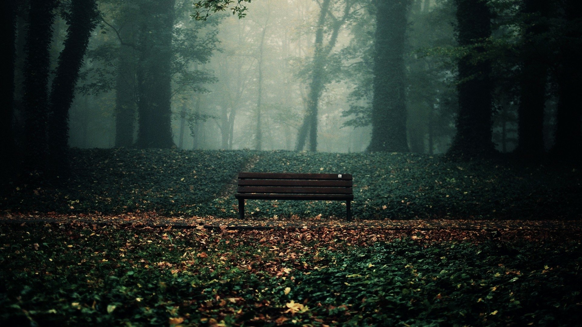 HD PC desktop wallpaper featuring a man-made wooden bench centered in a misty, dense forest with scattered leaves on the ground.